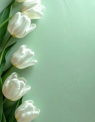 Fototapeta premium White tulips against a muted green texture