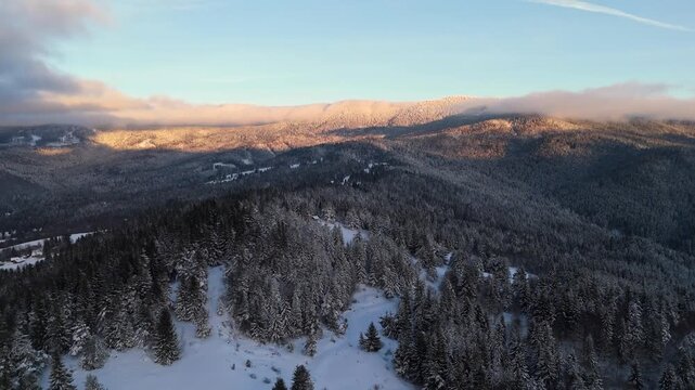 Drone shot of frozen coniferous woods during golden hour