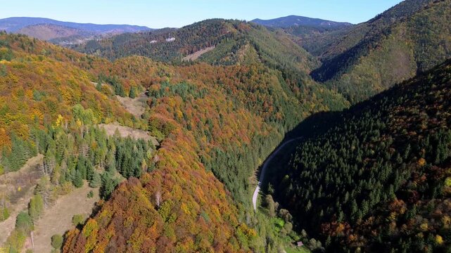 Scenic landscape of golden autumn trees and mountain valleys