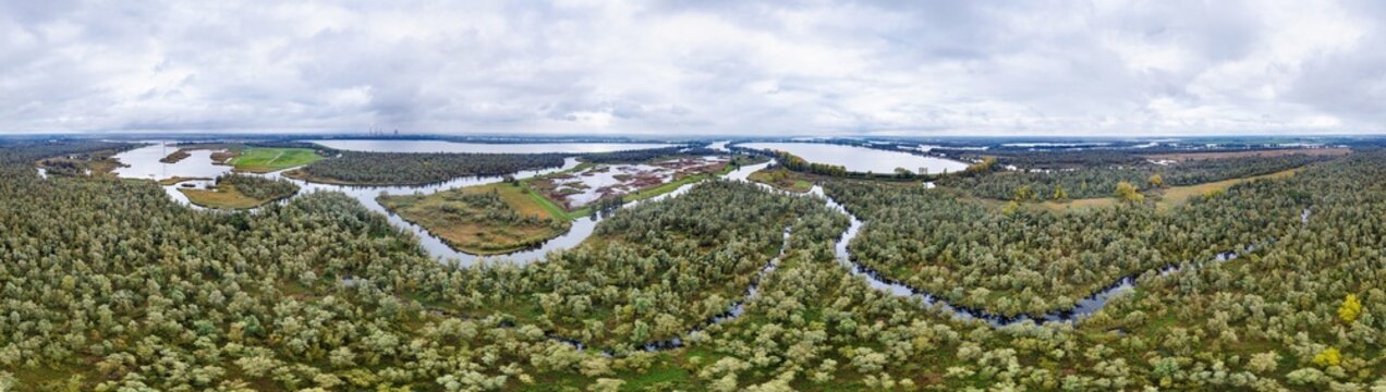 Aerial view of winding waterways curving through lush willow forest, in national park Biesbosch, the biggest freshwater tidal area in Europe, in 360 degrees panorama, Noord-Brabant, Netherlands.