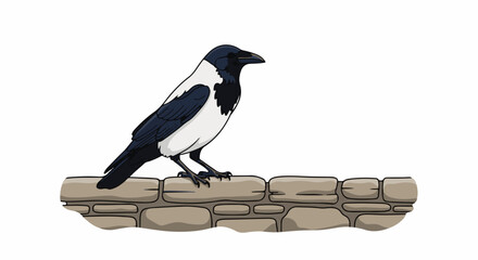 A black and white bird stands on a rough stone wall © Hamzah