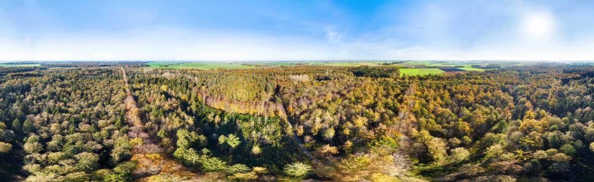 Aerial view of mixed forest in autumn with many different tree species in various autumn colors, in 360 degrees panorama, Kuinderbos, Noordoostpolder, Flevoland, Netherlands.