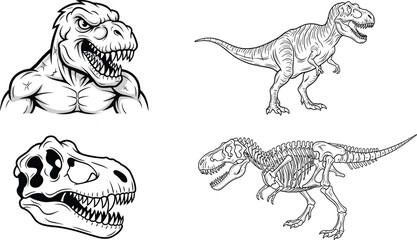 Tyrannosaurus Rex Dinosaur Vector Collection Featuring Aggressive Head Skull Skeleton and Full Body Line Art Illustrations for Coloring Pages Educational and Design Use © Yousuf