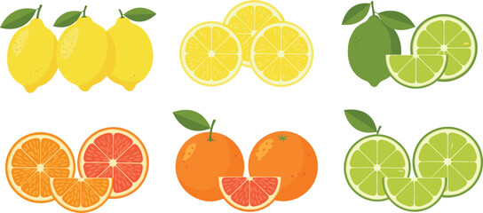 Obraz premium Assorted Citrus Fruits Including Lemons Limes Oranges and Grapefruits