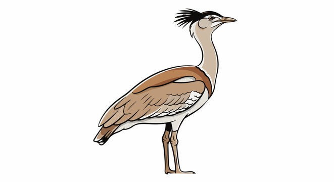 A cartoon-style drawing of a crested bustard bird in profile, standing on its thin legs