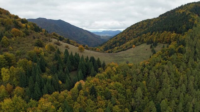 Drone shot of deciduous forest with vibrant fall foliage and clouds
