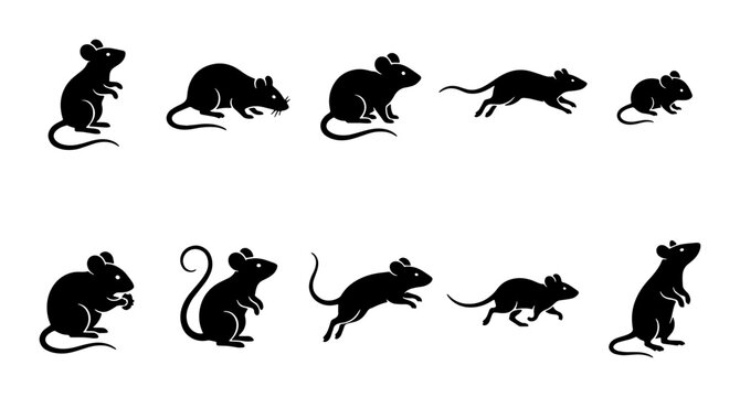 Black mouse silhouette collection, set of 10 rodent vector icons in various poses, minimalist rat silhouettes for pest control and wildlife design
