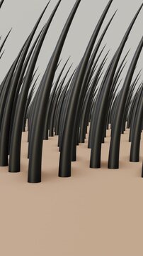 Hair growth animation nutrition and treatment for growth. Full HD. 4K 