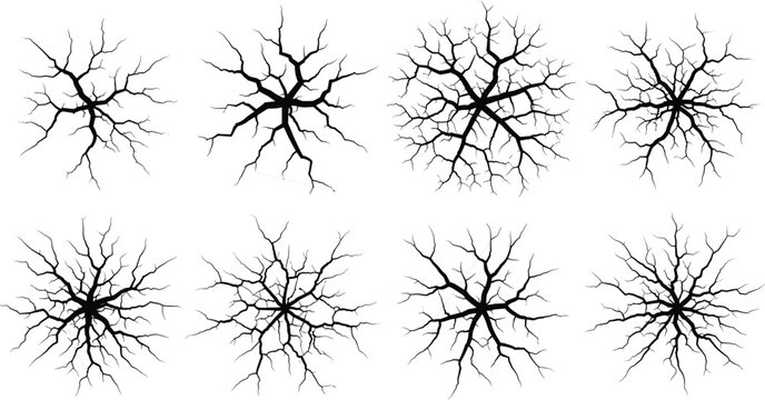 Collection of abstract tree branches silhouettes, root and vein pattern design, nature inspired shapes, organic structure, black and white illustration set isolated