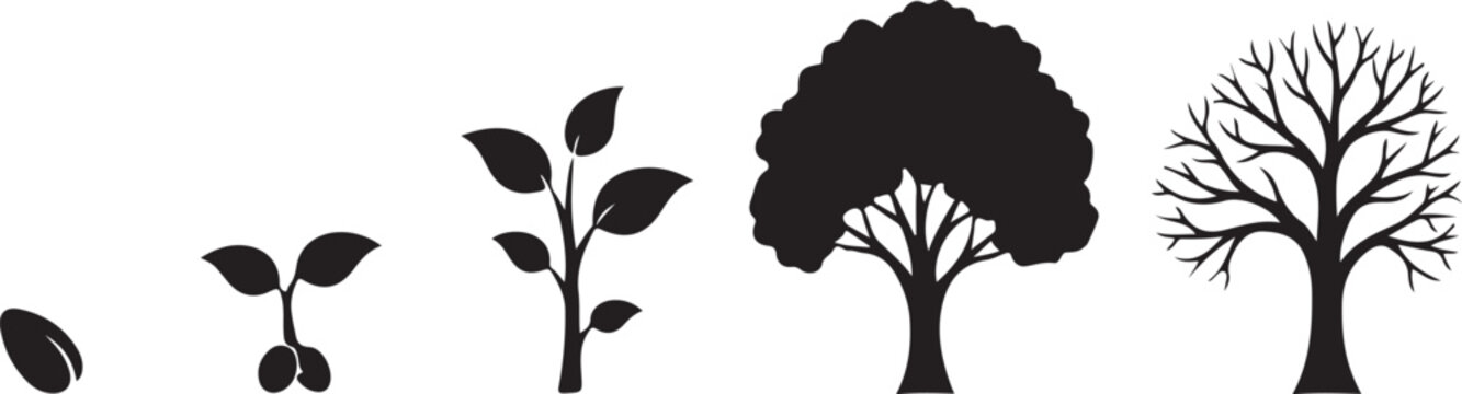 Stages of plant growth from seed to mature tree illustration silhouette vector icon