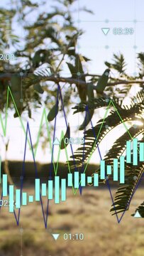 Vertical video: Finance feed updating branch shifting overlay animating bars lines timestamps grass
