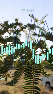 Fern branch swaying on rural path with data appearing, finance candles sliding and showing trends