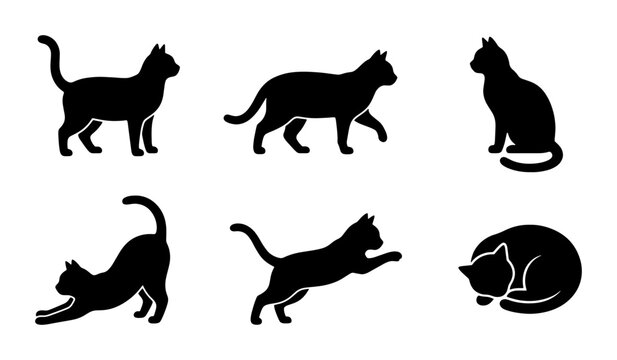 Black cat silhouette collection, set of 6 feline vector icons in various poses, domestic cat silhouettes for pet shop branding and animal logos
