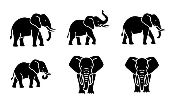 Elephant silhouette vector set, 6 black african elephant icons in various poses, wild animal silhouettes for safari branding and nature logos