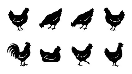 Black chicken silhouettes set, 8 poultry vector icons of hens and roosters, farm bird profile shapes for agricultural branding and logo design © Jayed