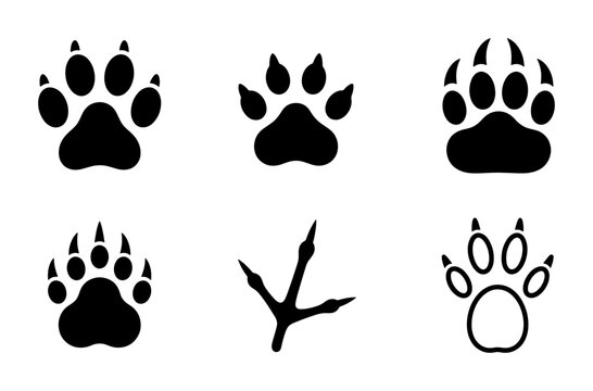 Animal paw prints vector collection, black silhouette wildlife track icons, 6 predator and bird footprint elements for hunting and nature design