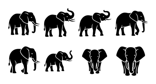 Elephant silhouette vector set, 8 black african elephant icons in various poses, wild animal silhouettes for safari and nature branding