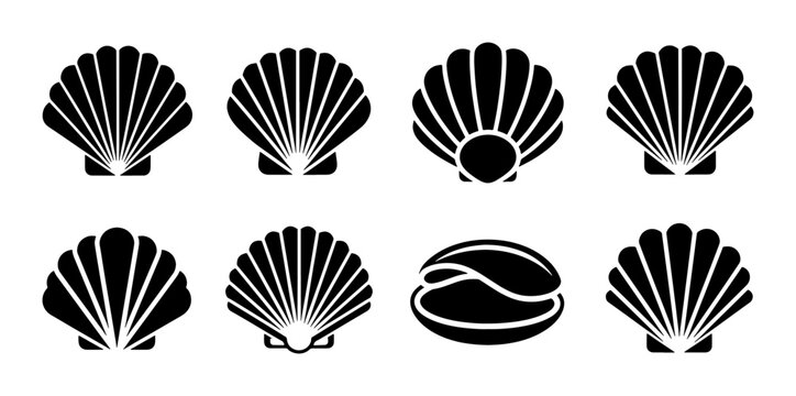 Minimalist seashell icon set, black scallop shell vector silhouettes, collection of 8 sea shell symbols for beach branding and nautical logo design
