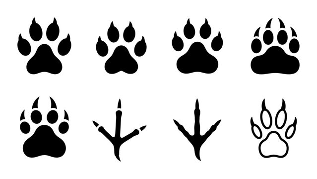 Animal paw prints collection, black wildlife track silhouettes, set of 8 predator and bird foot marks, nature trail vector icons for hunting and tracking