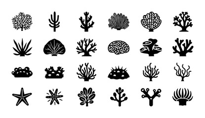 Minimalist coral reef icons set, black silhouette underwater sea plants and starfish, 24 marine life vector elements for aquatic branding © Farzana