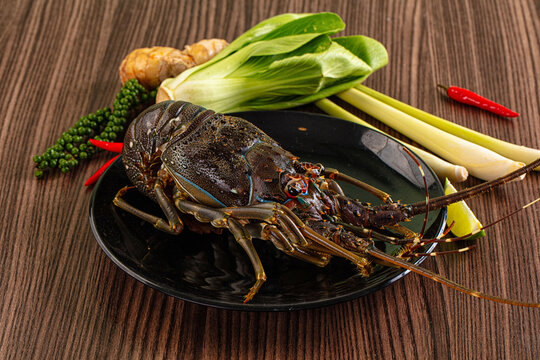 Raw fresh lobster for bowl