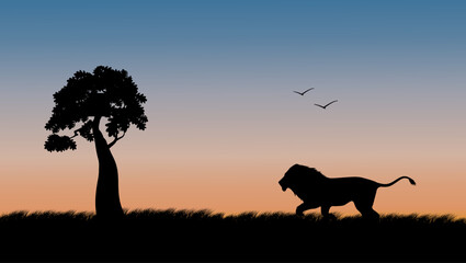 lion in safari, flat vector illustration © OMIA
