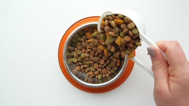 Pet Food pouring. Balanced dog food. Owner female hand is pour dry cat food into a steel gray cat bowl on white. Dry pet kibble food falls into the bowl. Pet diet concept. Close-up. Dry animal feed