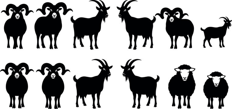Goat and sheep silhouettes set with different poses and breeds, farm animals collection, black livestock vector illustration isolated