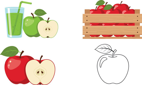 Apple collection with juice glass green and red fruits crate and outline sketch, fresh organic food vector illustration set isolated background