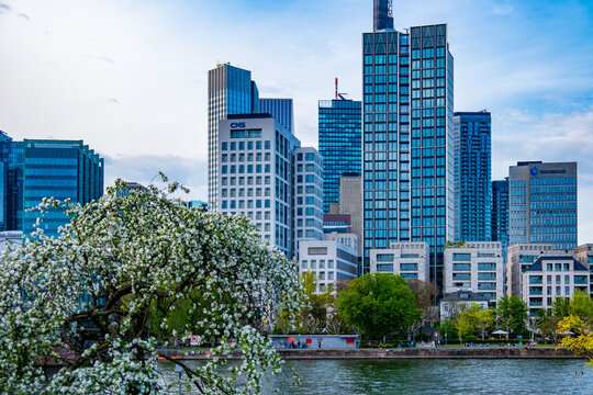 Modern skyline Frankfurt am Main, mainhattan glass skyscrapers, commercial buildings reflecting sky, seen from across river Main with green park and people relaxing, financial capital, urban scenery