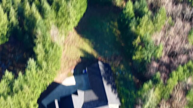 Aerial drone shot looking down into a lush green forest