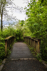Fototapeta premium Old mossy wooden footbridge in a lush green spring forest