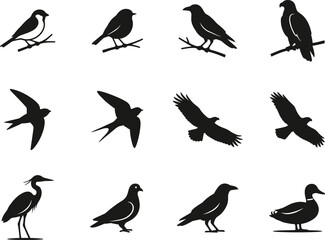 Fototapeta premium Bird silhouettes collection with flying perching and water birds black vector illustration