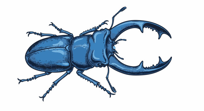 A detailed blue beetle illustration with prominent mandibles and segmented legs, isolated on white