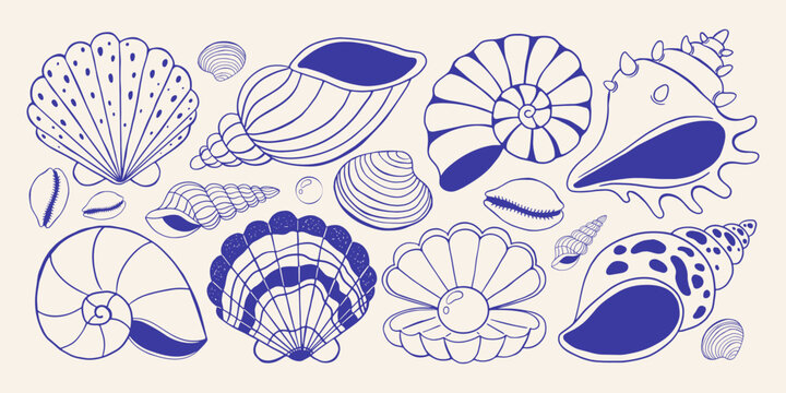 Seashell collection with various ocean shells and pearl in oyster. Blue hand drawn doodle marine elements on light background. Useful for stickers, packaging and summer decor. Vector illustration.