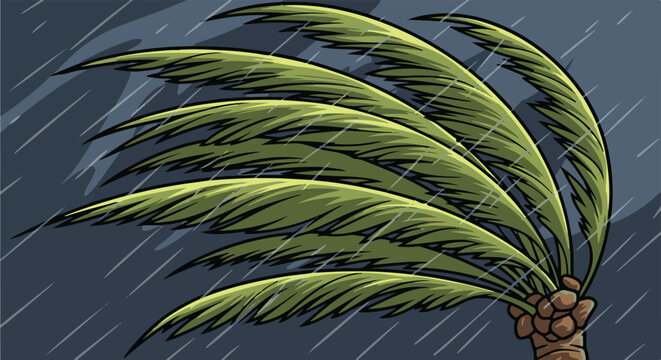 A palm tree's fronds bend and sway in heavy, angled rainfall under a dark, stormy sky