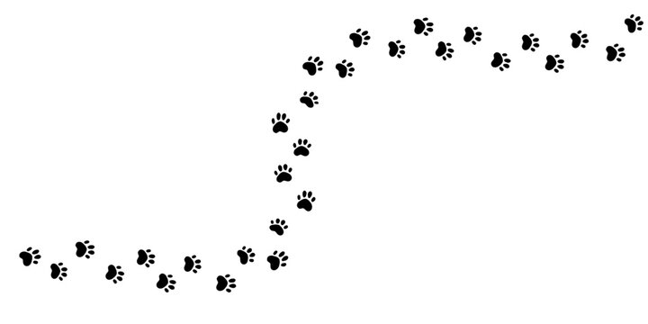 Paw print of a dog or cat. Cute silhouette footpath pet. Wavy walk, marks. Steps of running or walking animal. Curved path of paw prints