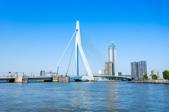 Panoramic view of the city skyline and skyscrapers in Rotterdam
