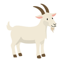 Obraz premium White Goat Standing Profile View Domestic Farm Animal Character