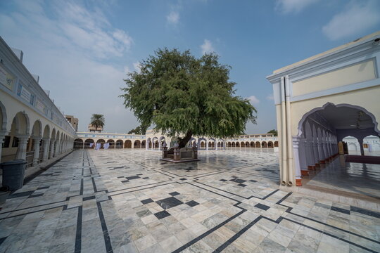 View of a serene courtyard with a majestic tree at its heart, surrounded by colonnades and intricate marble patterns, creating a peaceful atmosphere, Nankana Sahib, Punjab, Pakistan.