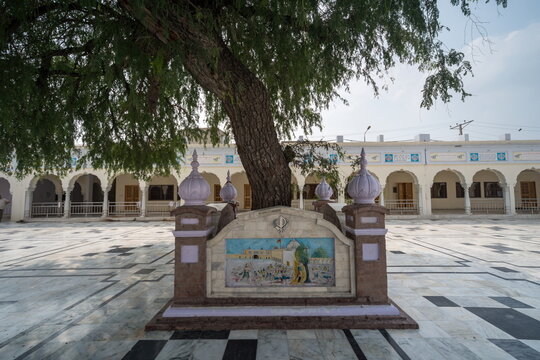 View of a serene courtyard with a tree growing through a painted memorial, casting shadows on the patterned marble floor, Nankana Sahib, Punjab, Pakistan.