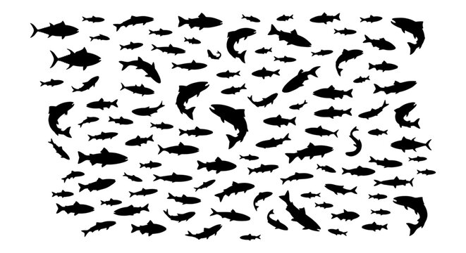 Black fish silhouettes collection, aquatic animal vector set, diverse school of fish shapes, marine life icons for fishing and ocean design