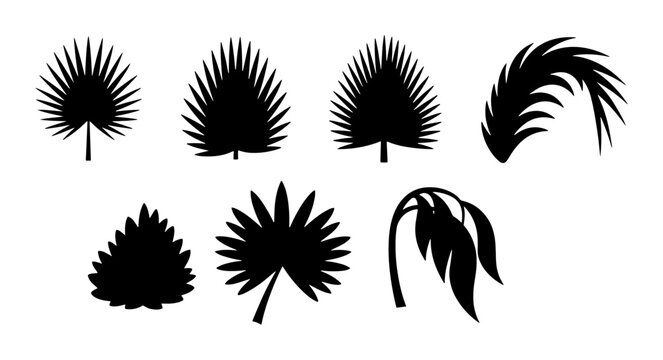 Tropical palm leaf silhouettes, black botanical foliage set of 7 vector icons, exotic jungle plant leaves for summer design and branding