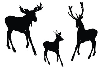 Fototapeta premium wild deer stag, elk and roe deer running forward black and white silhouette set - vector collection of forest animals detailed outlines