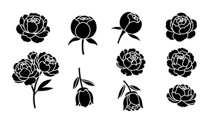 Minimalist peony flower silhouettes set, black floral botanical vector icons, elegant garden blossom collection for wedding stationery and logo design © Tanzila
