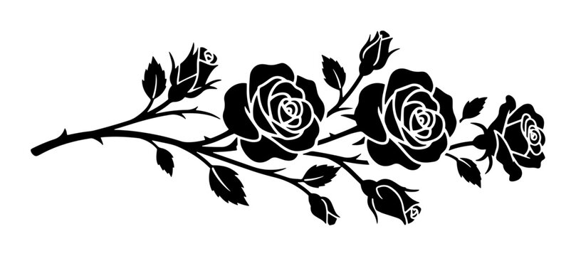 Vintage black rose silhouette branch, elegant floral blossom vector illustration, decorative rose flower stem with leaves and buds for wedding design