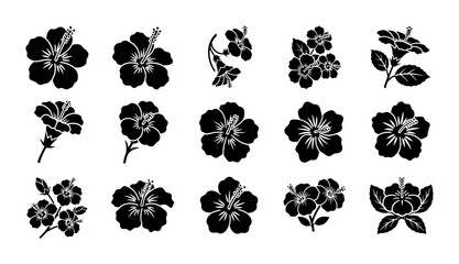 Hibiscus flower silhouette icons, tropical floral blossom vector set of 15 elements, black botanical garden plant graphics for summer design © Shahriar