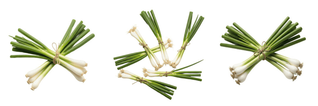 Fresh spring onions tied together isolated on white background high resolution photography for culinary and healthy eating design and organic food market concept and recipe ingredient photography