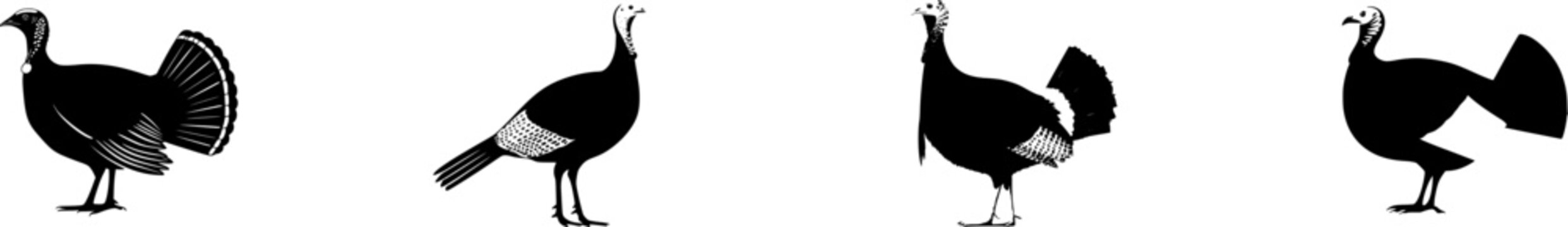 A meticulously detailed photograph of an ultra-realistic male turkey showcases its vibrant fan-like tail feathers and colorful snood against a pure white background