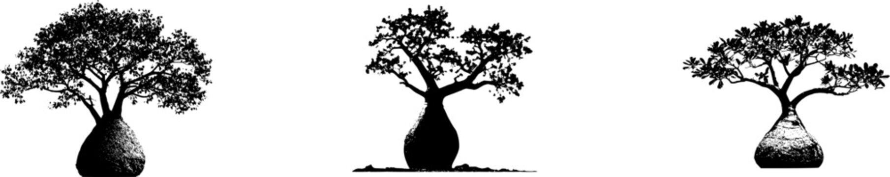 An ultra-realistic photograph of an ancient African Bottle Tree stands majestically with its massive, smooth trunk resembling a bottle, surrounded by sparse green foliage against a pristine white